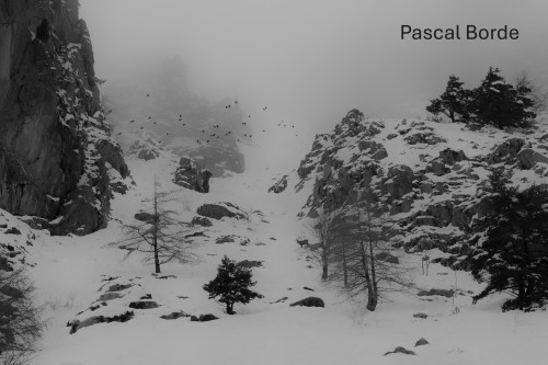 Pascal Borde