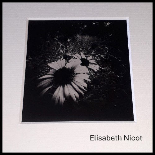 Elisabeth Nicot