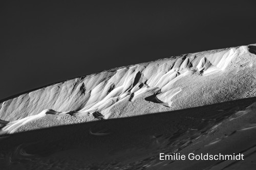 Emilie Goldschmidt v2